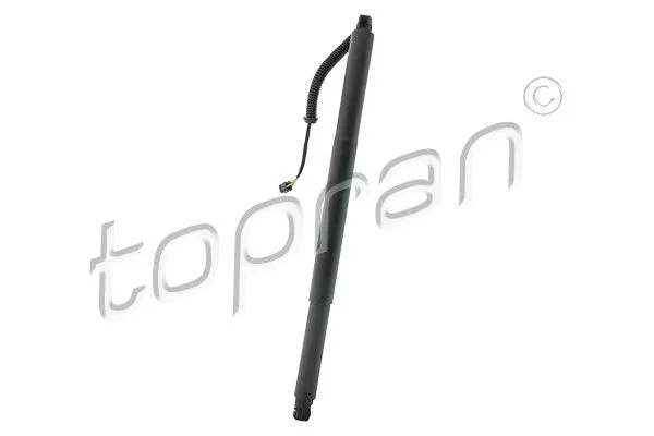 Motor Elétrico, porta traseira TOPRAN 120 223