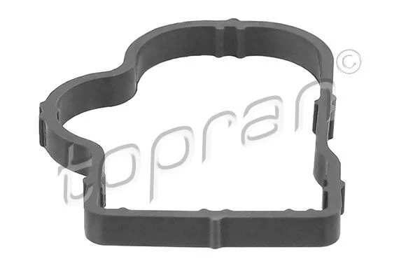 Gasket, intake manifold TOPRAN 207 617