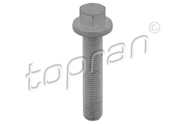 Parafuso da polia TOPRAN 503 133
