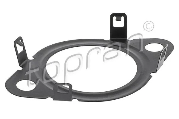 Gasket, EGR valve TOPRAN 601 396
