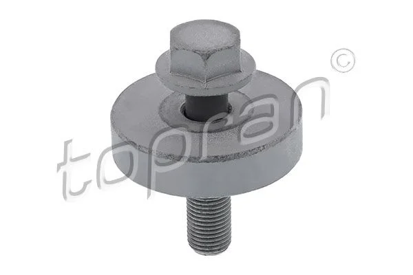 Parafuso da polia TOPRAN 701 616