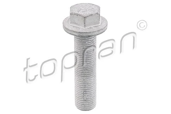 Parafuso da polia TOPRAN 701 617
