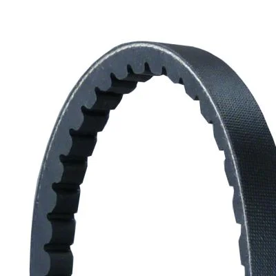 V-Belt Set CONTINENTAL CTAM 2XAVX13X1100