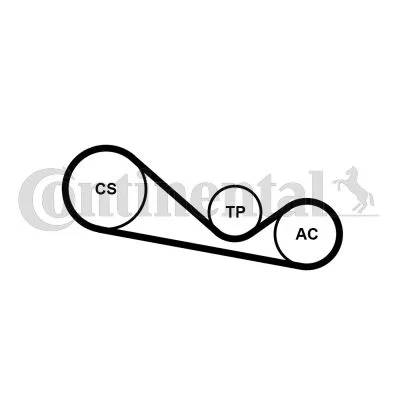 Polia tensionadora, correia em V CONTINENTAL CTAM 4PK1237K1