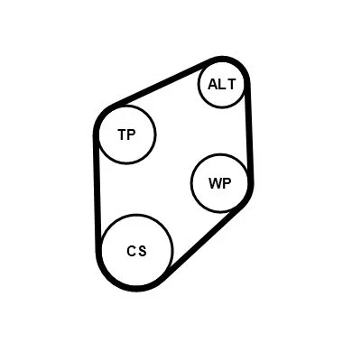 Polia tensionadora, correia em V CONTINENTAL CTAM 4PK800K1