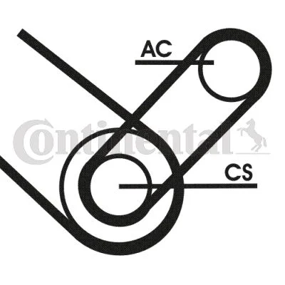Polia tensionadora, correia em V CONTINENTAL CTAM 4PK874 ELAST T1