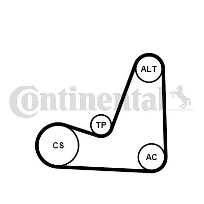 Polia tensionadora, correia em V CONTINENTAL CTAM 5PK1200K1