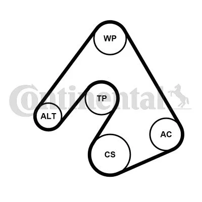 Bomba de Água + Kit de Correia em V CONTINENTAL CTAM 5PK1207WP1