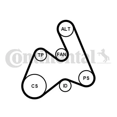 Polia tensionadora, correia em V CONTINENTAL CTAM 5PK1592K1