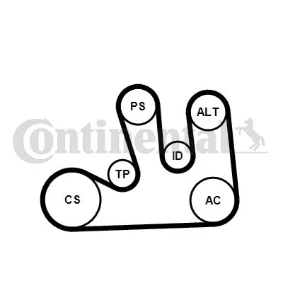 Polia tensionadora, correia em V CONTINENTAL CTAM 5PK1750K1