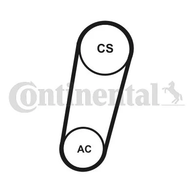 V-ribbed Belt Set CONTINENTAL CTAM 5PK705 ELAST T1