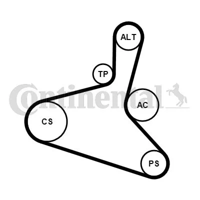 Polia tensionadora, correia em V CONTINENTAL CTAM 6DPK1195K2