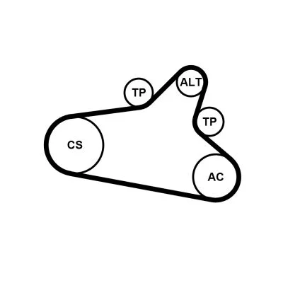 Polia tensionadora, correia em V CONTINENTAL CTAM 6PK1020 EXTRA K1