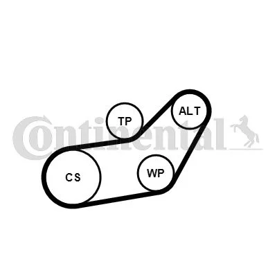 V-ribbed Belt Set CONTINENTAL CTAM 6PK1045K1