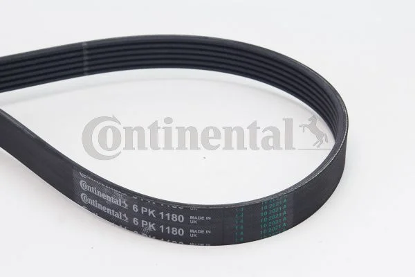 305 CONTINENTAL CTAM 6PK1180