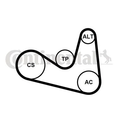Polia tensionadora, correia em V CONTINENTAL CTAM 6PK1180K2