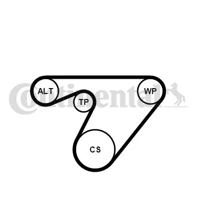 542 CONTINENTAL CTAM 6PK1180K3