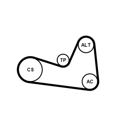 Polia tensionadora, correia em V CONTINENTAL CTAM 6PK1200K1