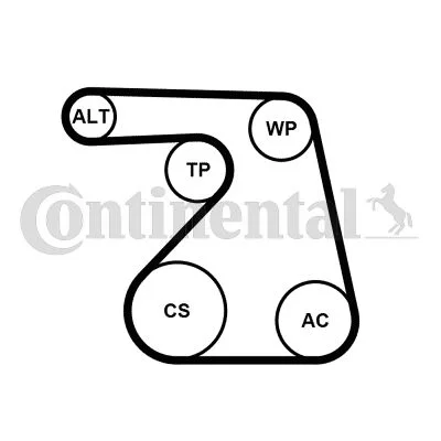V-ribbed Belt Set CONTINENTAL CTAM 6PK1217K2