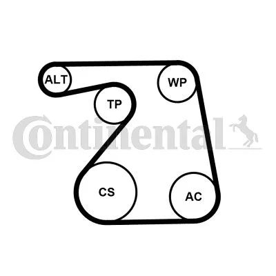 V-ribbed Belt Set CONTINENTAL CTAM 6PK1360K1