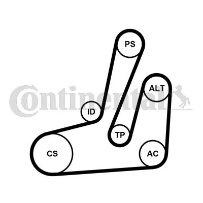 V-ribbed Belt Set CONTINENTAL CTAM 6PK1390K1