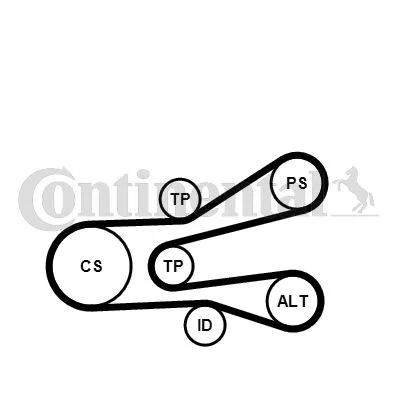 V-ribbed Belt Set CONTINENTAL CTAM 6PK1440K1