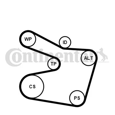 V-ribbed Belt Set CONTINENTAL CTAM 6PK1538K2