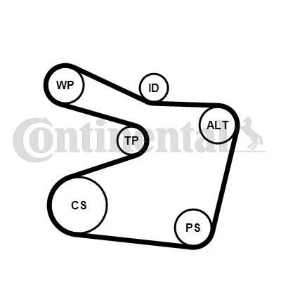 Polia tensionadora, correia em V CONTINENTAL CTAM 6PK1555K1