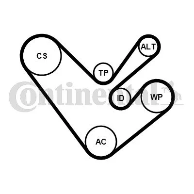 V-ribbed Belt Set CONTINENTAL CTAM 6PK1555K4