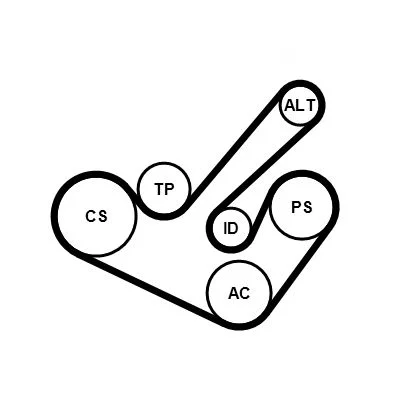 Polia tensionadora, correia em V CONTINENTAL CTAM 6PK1555K9