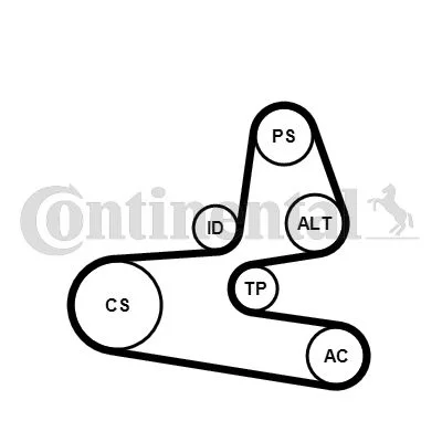 V-ribbed Belt Set CONTINENTAL CTAM 6PK1564K1