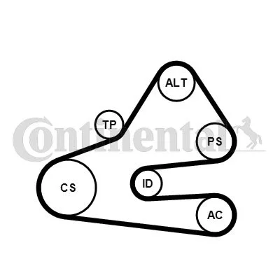 Polia tensionadora, correia em V CONTINENTAL CTAM 6PK1613K1