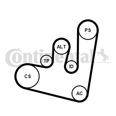 Polia tensionadora, correia em V CONTINENTAL CTAM 6PK1660K1