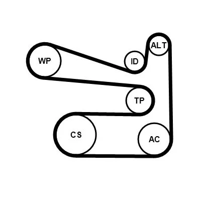Polia tensionadora, correia em V CONTINENTAL CTAM 6PK1693K1