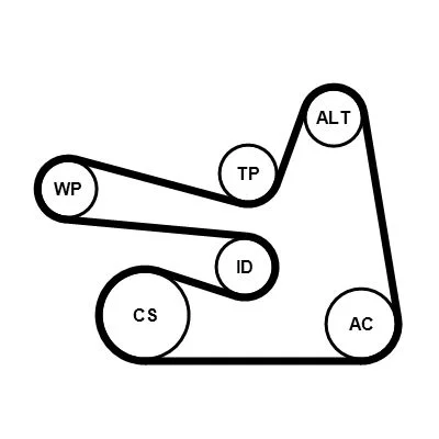 Polia tensionadora, correia em V CONTINENTAL CTAM 6PK1705K3
