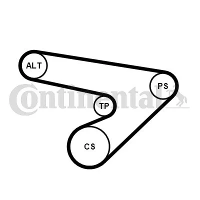 V-ribbed Belt Set CONTINENTAL CTAM 6PK1725K1