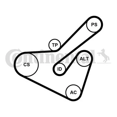 Polia tensionadora, correia em V CONTINENTAL CTAM 6PK1725K2