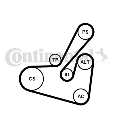 V-ribbed Belt Set CONTINENTAL CTAM 6PK1750K1