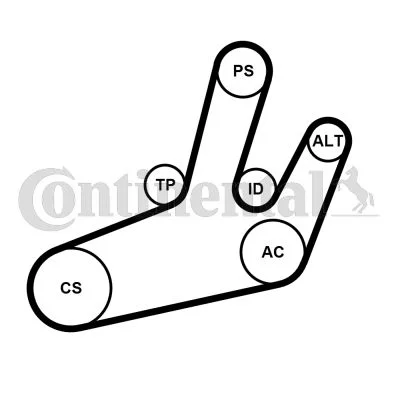 Polia tensionadora, correia em V CONTINENTAL CTAM 6PK1780K1