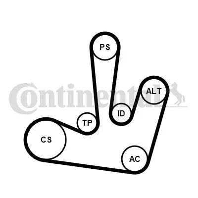 V-ribbed Belt Set CONTINENTAL CTAM 6PK1795K1