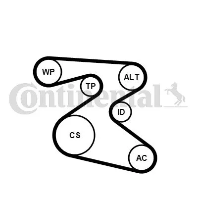 V-ribbed Belt Set CONTINENTAL CTAM 6PK1873K1