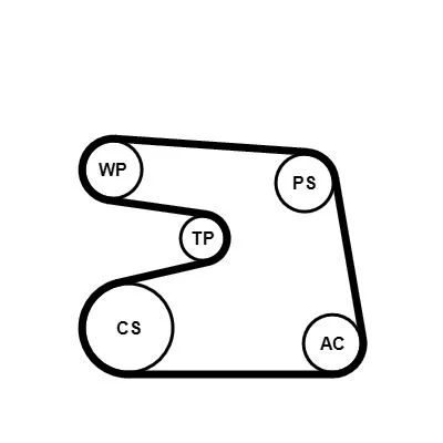 Polia tensionadora, correia em V CONTINENTAL CTAM 6PK1873K4