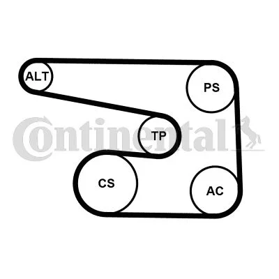 Polia tensionadora, correia em V CONTINENTAL CTAM 6PK1873K5