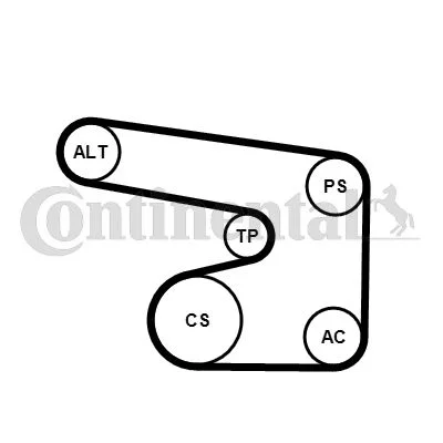 V-ribbed Belt Set CONTINENTAL CTAM 6PK1900K1