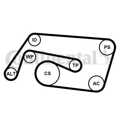 Polia tensionadora, correia em V CONTINENTAL CTAM 6PK2260K2