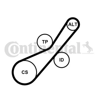 Polia tensionadora, correia em V CONTINENTAL CTAM 6PK800K2
