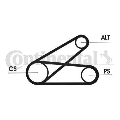 V-ribbed Belt Set CONTINENTAL CTAM 6PK873 ELAST T1