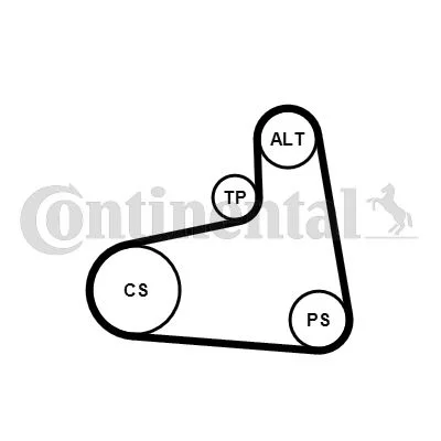 V-ribbed Belt Set CONTINENTAL CTAM 6PK906K1