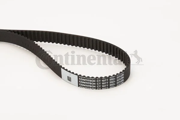 Correia Dentada CONTINENTAL CTAM CT1077
