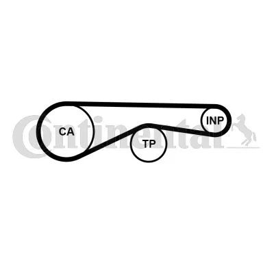 Correia Dentada CONTINENTAL CTAM CT1095
